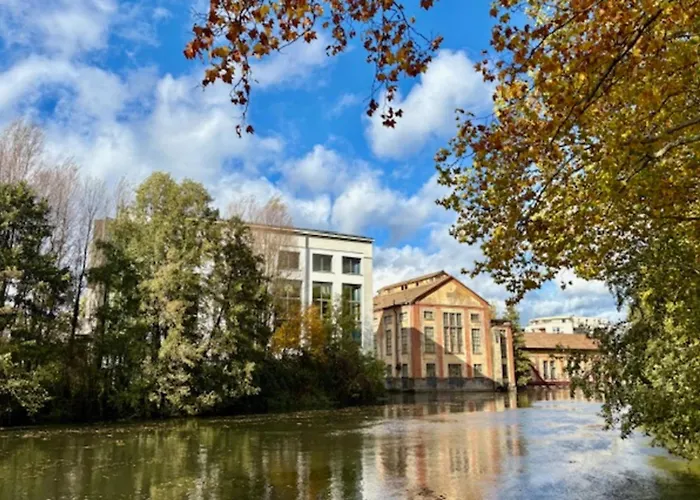 The Ill In Softness Calm & Elegant